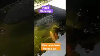 Hasil mancing..kira2 berapa Kg ya🥲
