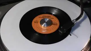 Cheap Trick - I Want You To Want Me  -  45RPM Studio Version