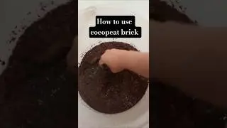 how to use cocopeat brick in gardening for plants and propagation #gardening
