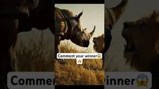 Can the Lion survive 😱. Wild animal attack. #lion #rhino #animalattack #shorts