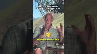 Goat Milk vs Cow Milk: The Surprising Taste Differences