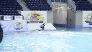 Winter Wake Fest - Toronto International Boat Show 2015