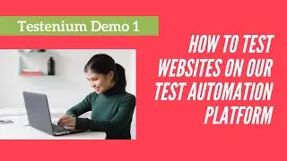How to test websites on our Test Automation Platform | Demo 1 | Testenium