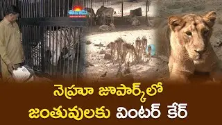 నెహ్రూ జూపార్క్‌లో జంతువులకు ‘వింటర్‌ కేర్‌’ @eenadu-news