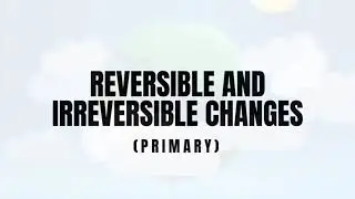 Reversible and Irreversible Changes | VIDEO 9