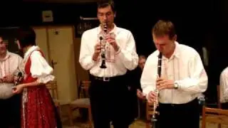 STRIBRNANKA-HODY BABICE  2009