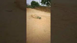 Speed Basher Kicking Up Some Dirt #offroad #rcbasher #speedbasher #highspeed #rchobby #hobbygrade