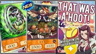 HOOT HOOT! Competitive Madolches w/ Psychic Wheeleder! [Yu-Gi-Oh! Duel Links]