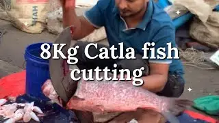Amazing 8kg Catla fish cutting 