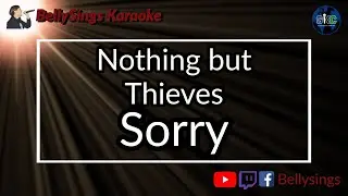 Nothing But Thieves - Sorry (Karaoke)
