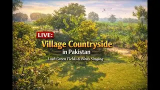 LIVE: Peaceful Punjab Village Garden 🌿 Bird Sounds + Green Fields | Relaxing Nature