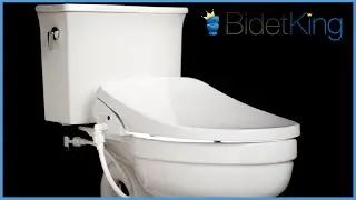Alpha GXR Wave Bidet Toilet Seat Review | BidetKing.com