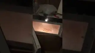 Pencil in microwave = Fire hazard