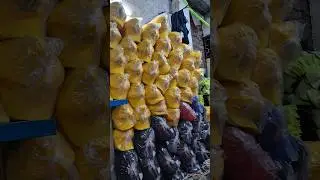 Caps Manufacturer And Wholesaler in Mumbaii #shorts