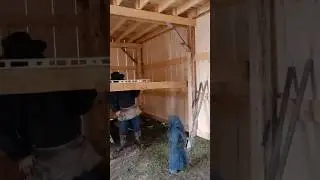 Строим стойло для лошади 🐎 #усадьба #строительство #лошадь