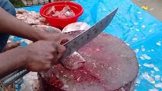 Daily Market Fish Cutting 🐟🔪 | Traditional Seafood Processing