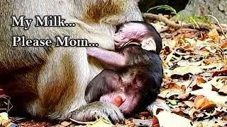 My  Milk..Mom|Tara used terrify hand block milk Titan|Event mom try block but Titan try till success