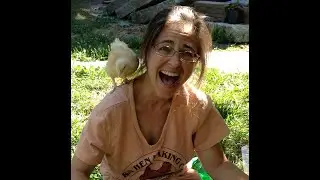 Hentopia: Best DIY Backyard Chicken Book