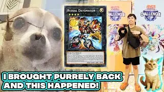 I Fought the New Meta with My 2023 Purrely Deck&hellip; and THIS Happened! 🐱