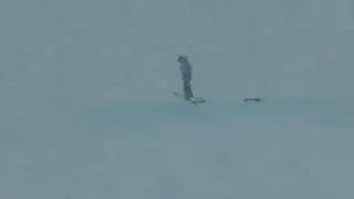Takuya Yamaguchi - 2012 Australian Freestyle Mogul Championships - Day 1 - 7th Mens Qualifications