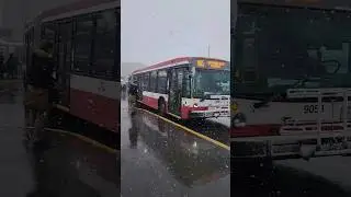 canada lo double bus ||articulated bus|| #canada