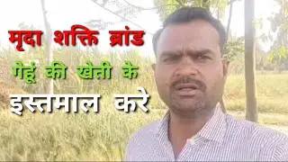Gehun ki kheti mein mrada Shakti brand istemal Karen aur ek achcha utpadan ka Labh uthaen ❤️❤️❤️🙏🙏🙏🙏