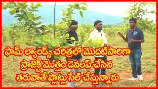Errachandhanam Farm Lands in Prakasam District 7993266187 Redsandalwood Farm Lands Prakasam District