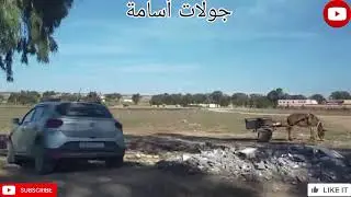 السلام متابعين حفكم تابعوني اول فيديو حطيتو هو هذا ونتمنى طلعت القناه الالف ابوني 🤲🤲🥹❤️❤️🙏