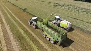FENDT 1046 VARIO s KRAMPE KIPPER. ODVOZ ŽITA