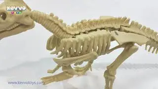Dig dinosaur dinosaur fossil dinosaur excavation kit for kids toys