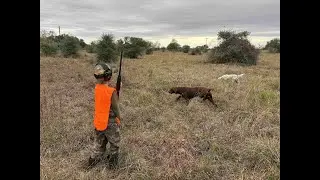 Top Flight Hunting Preserve