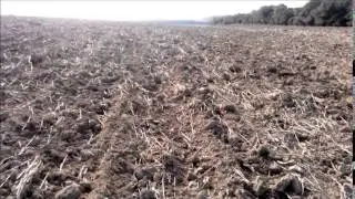 Vidéo sortie détection fibule ,et romaine