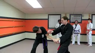 Kenpo Karate Shielding Hammer