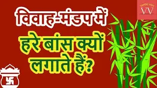 विवाह-मंडप में हरे बांस क्यों लगाते हैं? | ShaadiKiRasam | Vivah Mandap Kaise Banate Hain #VandeVani