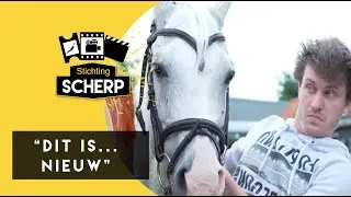 Een paard als psycholoog?! - HAPPY HUNTERS aflevering 7