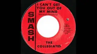 Collegiates   I Can't Get You Out Of My Mind