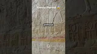 The first female pharaoh who was erased from history #history #egypt #pharoah