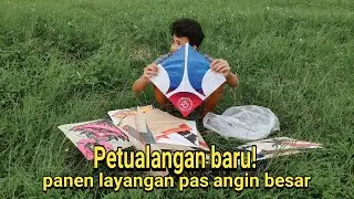 Petualangan baru kejar layangan pas angin besar malah panen layangan pulas bagus!
