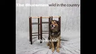 Why Not Me? - Wild In The Country The Bluesmen (R.Formignani)