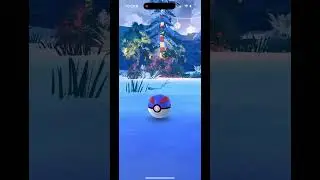 i love the shiny pokemon so much #pokemon #shiny #pokemongo #pokemoncards #shinypokemongo
