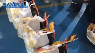 5kg Wall Putty Powder Packing Machine Automatic Filling Weighing Sealing Machine