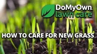 How to Care for New Grass | DoMyOwn.com