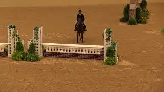 Video of WHY NOT ridden by LILY OELSCHLAGER from ShowNet!