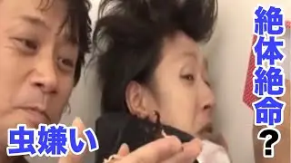 虫嫌いの鈴村健一にクワガタをプレゼントしてみた結果