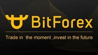 🔥BitForex - торгуйте сейчас, инвестируйте в будущее. Большой обзор биржи