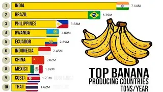 Top Banana Producing Countries (1961&ndash;2025)