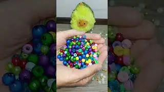 Reverse video 🥑 ASMR 🎁🎁🎁 #asmr #satisfying #marbles #beads #toys #shorts #reverse #youtubeshorts