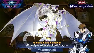 Deck Blue Eyes (Duelist Cup) - Yu-Gi-Oh! Master Duel !