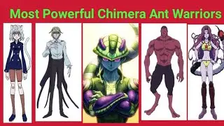 Makapangyarihang Chimera Ant Warriors || Hunter x Hunter Series