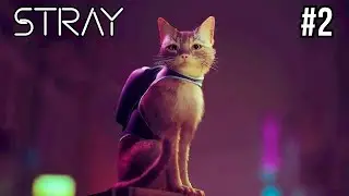 Stray Gets Mysterious &ndash; PC Gameplay Walkthrough Part 2 | No Commentary | Aldren Plays
